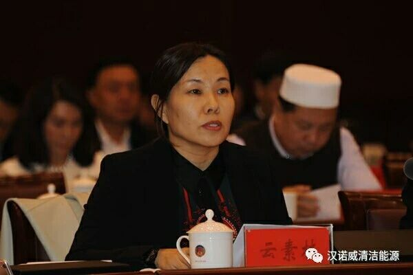 漢諾威清潔能源 漢諾威清潔能源